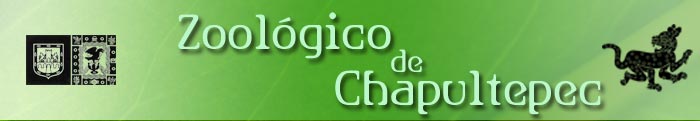 encabezado